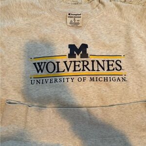 Unisex Champion Embroidered University of Michigan Wolverines Gray Sweater
